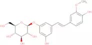 Isorhapontin