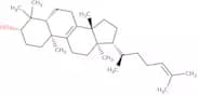 Lanosterol - 90%