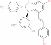 ε-Viniferin