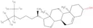 cholesterol (D7)