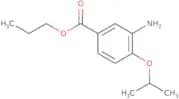 JNJ 10311795