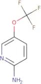 5-(Trifluoromethoxy)pyridin-2-amine