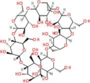 β Cyclodextrin