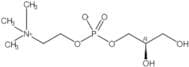 sn-Glycerophosphorylcholine (egg, free base)