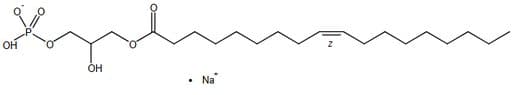 1-Oleoyl-Lyso-Phosphatidic acid Na salt