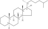 5-α-Cholestane