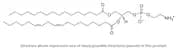 Phosphatidylethanolamine, PE (soya)