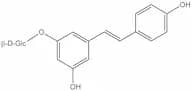 trans-Polydatin
