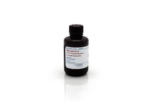 TMB Substrate for WB