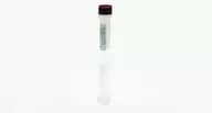 HEK 293 Antigen Concentrate