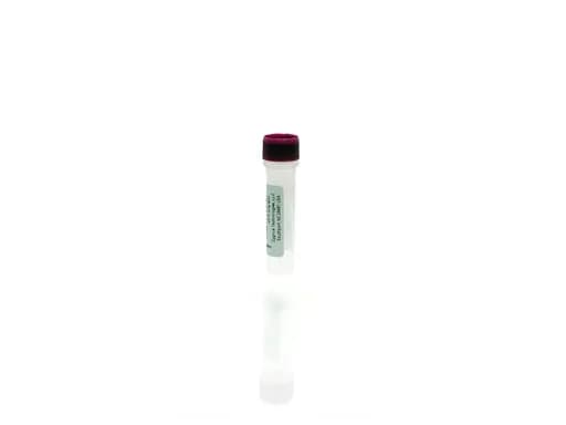 Vero Cell 2G HCP Control Antigen