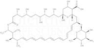 Amphotericin B, Ph. Eur. grade