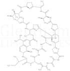 Thiostrepton