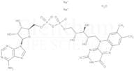 Flavin adenine dinucleotide disodium salt hydrate