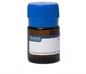 Agarose, low EEO