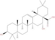 Echinocystic acid