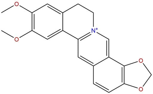 Epiberberine