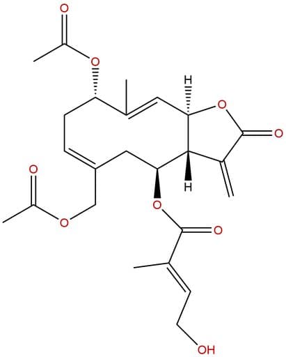Eupalinolide A
