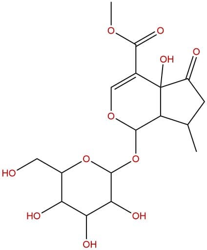 Hastatoside