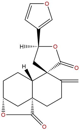 levatin