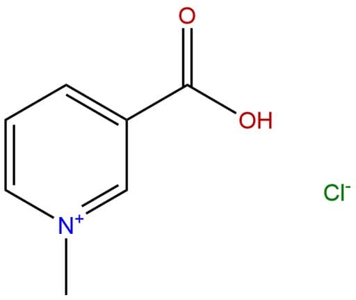 Trigonelline Hydrochloride