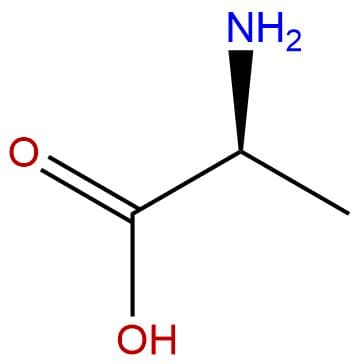 L-Alanine