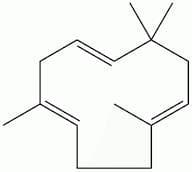 α-Caryophyllene