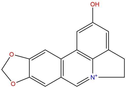[1,3]Dioxolo[4,5-j]pyrrolo[3,2,1-de]phenanthridinium,4,5-dihydro-2-hydroxy-