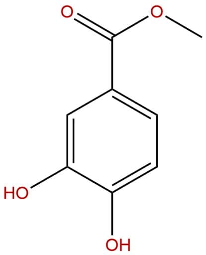Methyl 3,4-dihydroxybenzoate