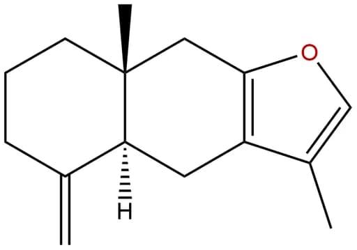 Atractylon