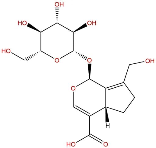 Arborescosidic acid
