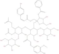 Tenuifoliose B