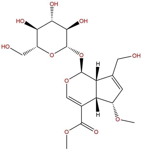 6α-Methoxygeniposide