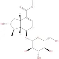 7-Epiloganin