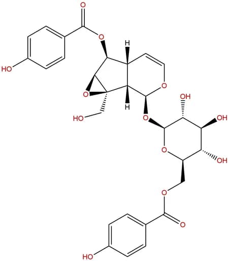 6'-O-p-Hydroxybenzoylcatalposide