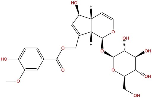 10-O-Vanilloylaucubin