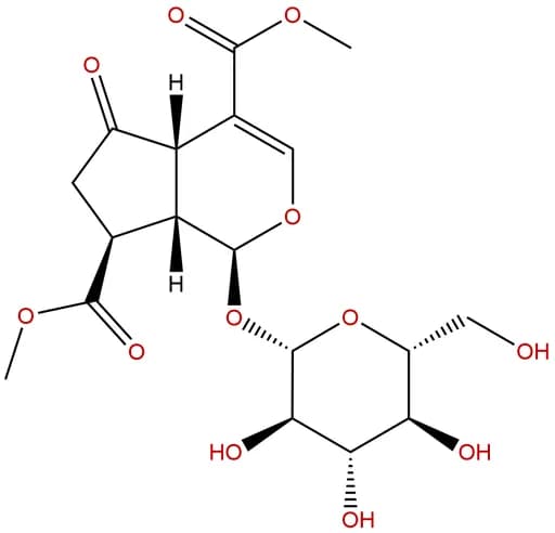 Griselinoside