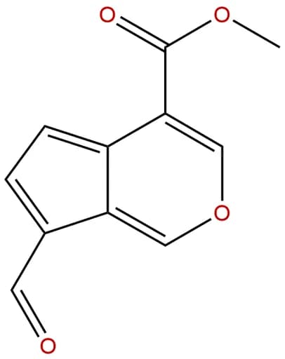 Cerbinal