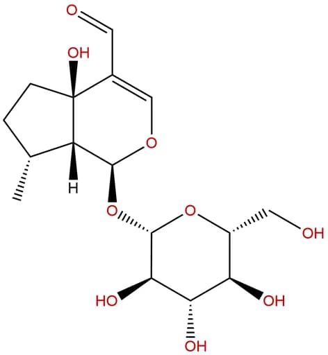 Yuheinoside