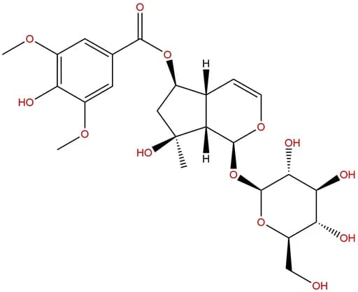 6-O-Syringoylajugol