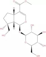 Splendoside