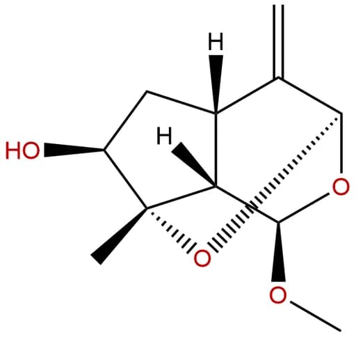 1-O-Methyljatamanin D