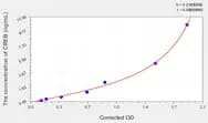 Mouse CREB(Cyclic AMP Response Element Binding Protein) ELISA Kit