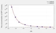 EasyStep Rat NPT(Neopterin) ELISA Kit