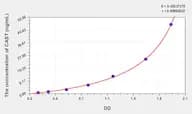 Human CAST(Calpastatin) ELISA Kit