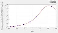Simian TNFRSF17(Tumor Necrosis Factor Receptor Superfamily, Member 17) ELISA Kit