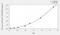 Rat NGFIB(Nerve Growth Factor IB) Microsample ELISA Kit