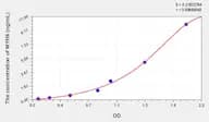 Rat MYH6(Myosin Heavy Chain 6, Cardiac Muscle, α) Microsample ELISA Kit