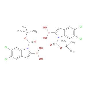 1-Boc-5,6-dichloro-1h-indole-2-boronic acid