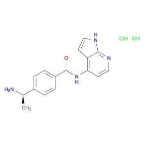 Benzamide, 4-[(1R)-1-aminoethyl]-N-1H-pyrrolo[2,3-b]pyridin-4-yl-, dihydrochloride (9CI)